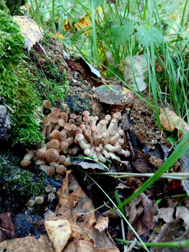 20260901_092431.jpg