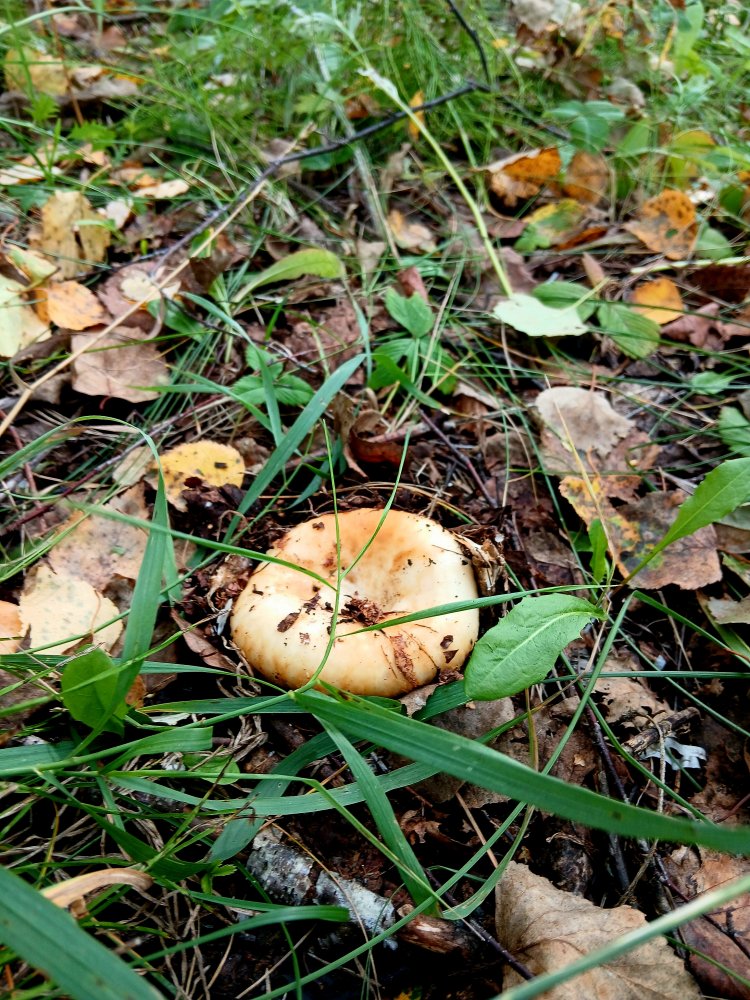 20260902_132905.jpg