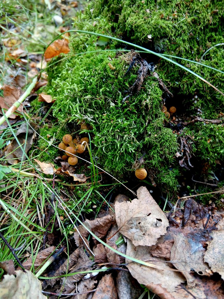 20260902_111130.jpg