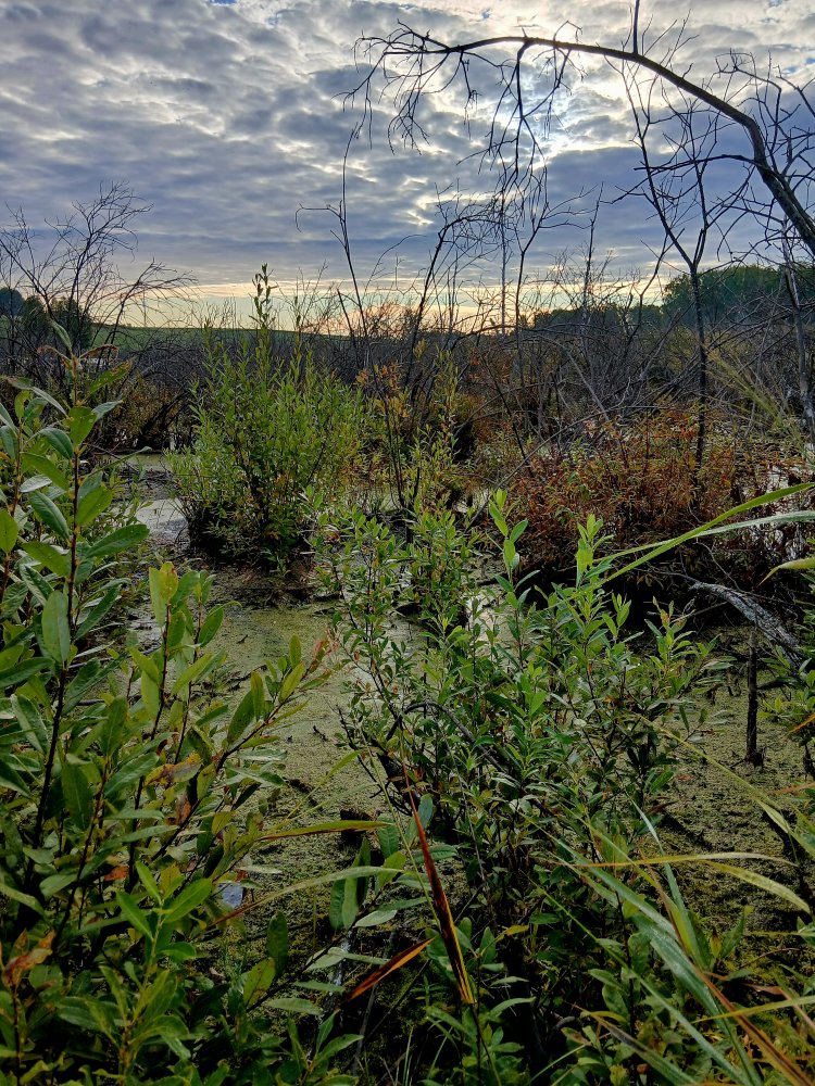 20260904_081837.jpg
