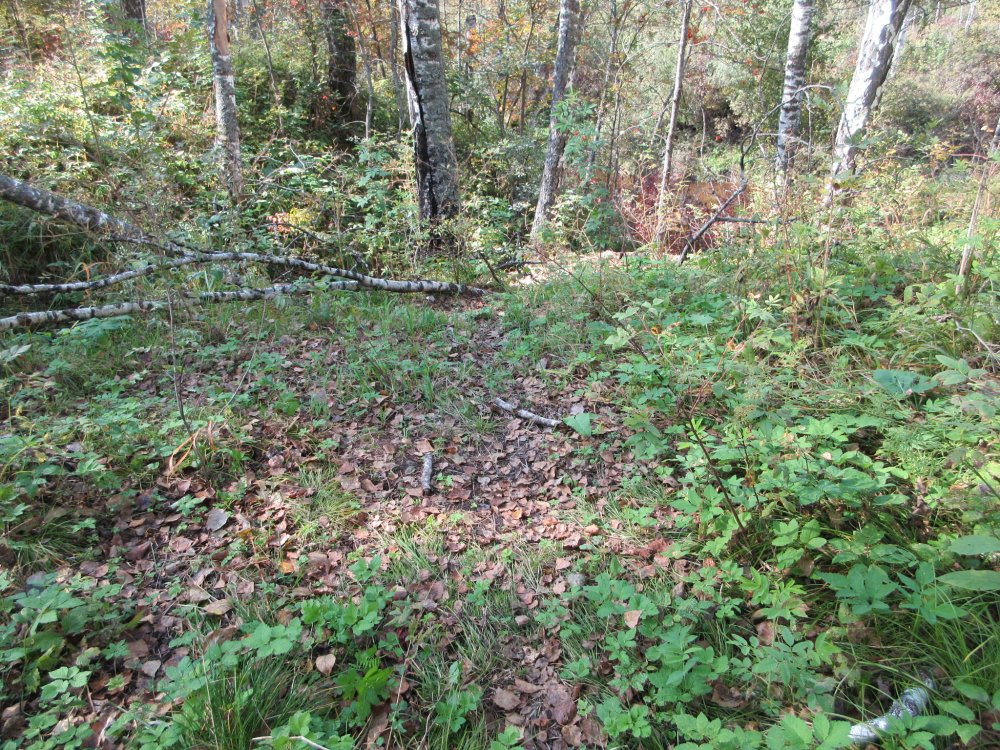 IMG_9876.JPG