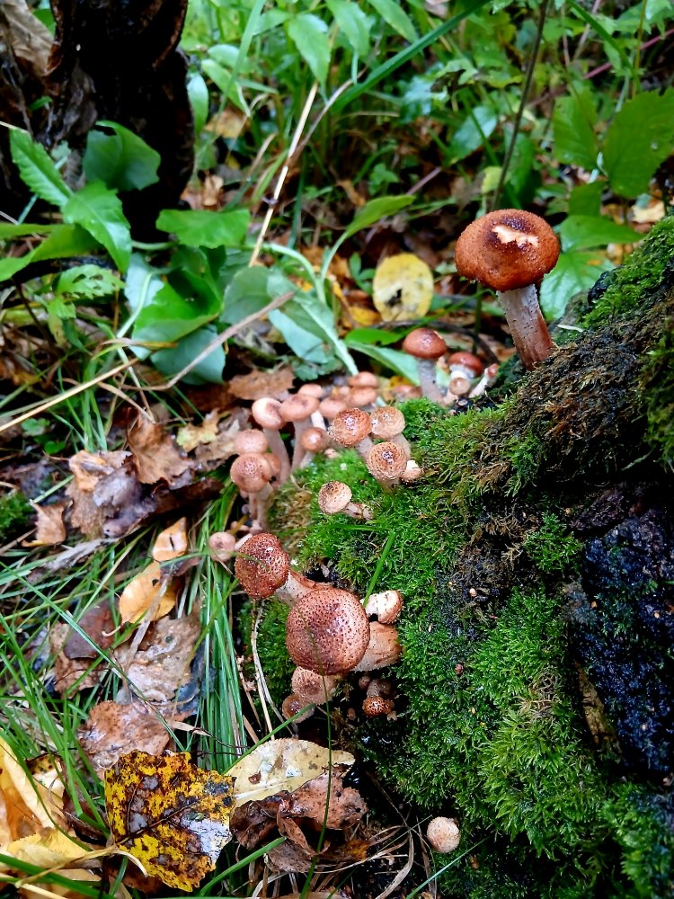20260906_090830.jpg