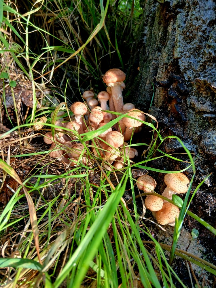 20260907_090631.jpg