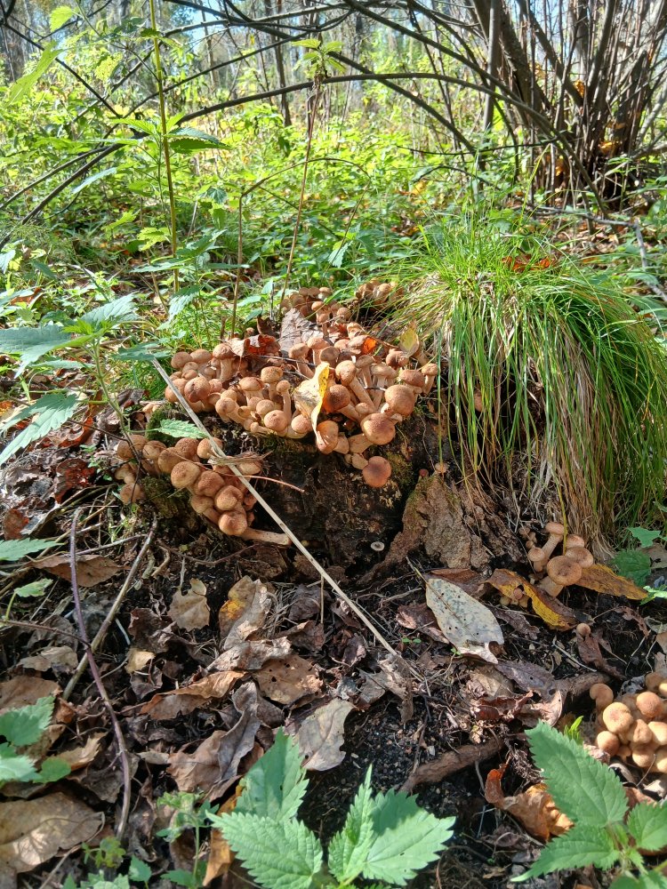 20260908_124431.jpg