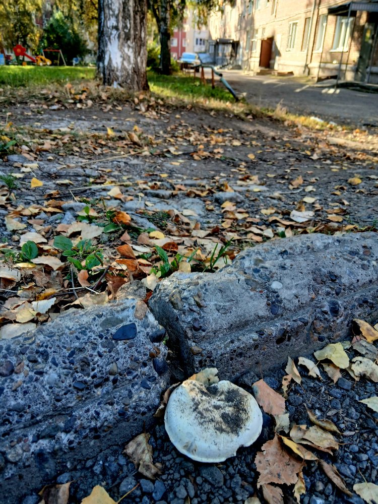 20260912_085803.jpg