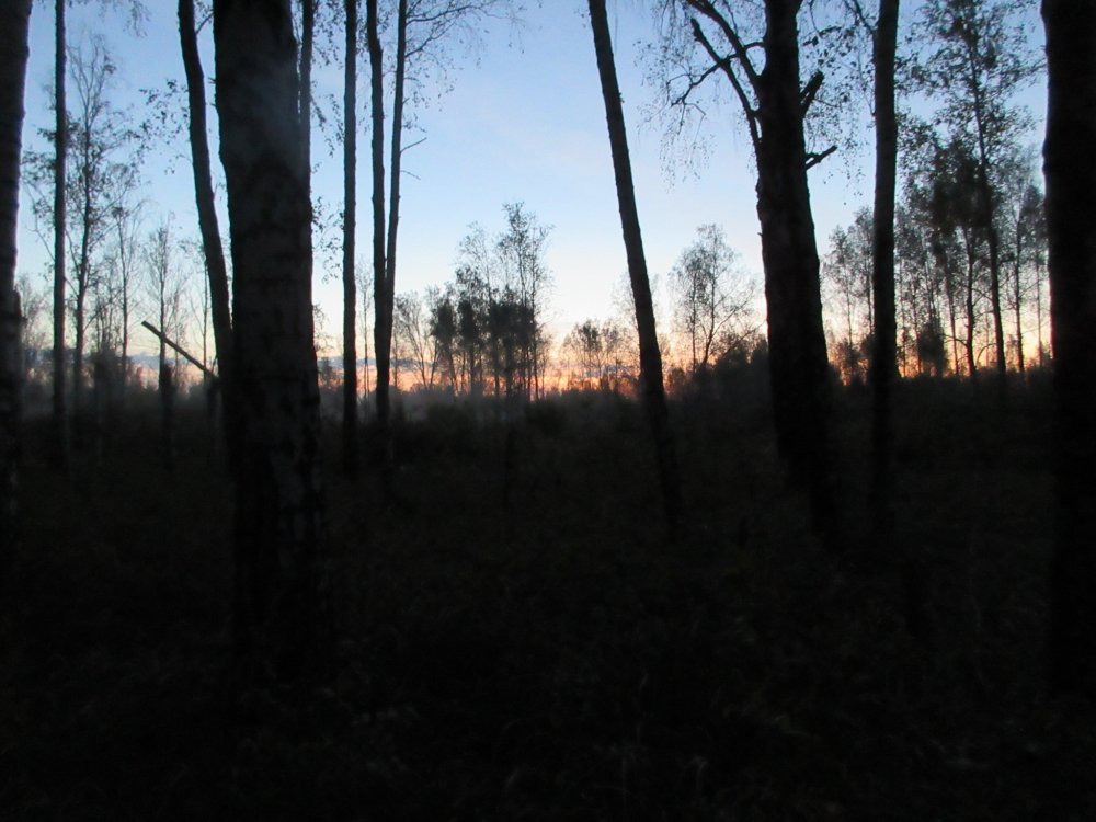 IMG_9940.JPG
