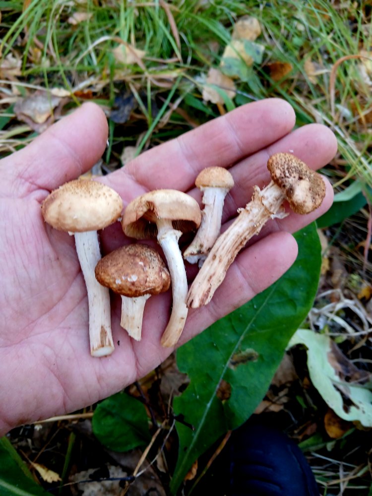 20260913_090552.jpg