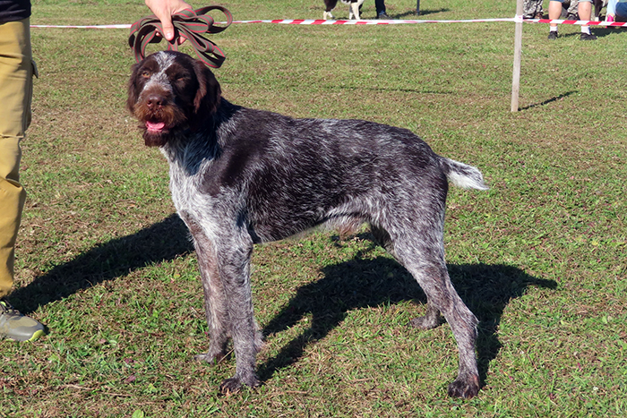 arko IMG_6814.JPG