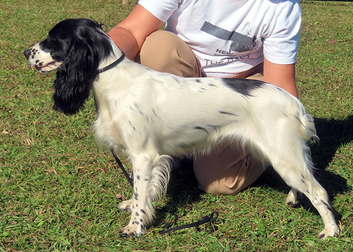 nikol IMG_6843.JPG