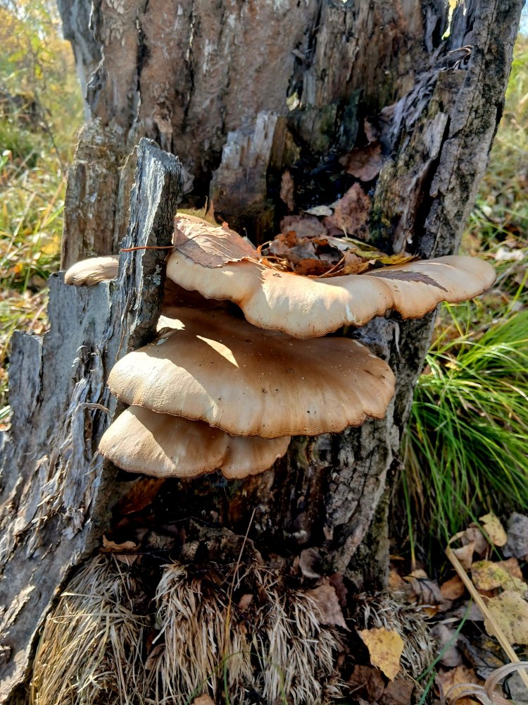 20260928_112502.jpg