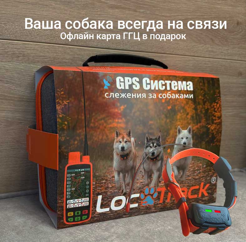 lt_collar_box.jpg