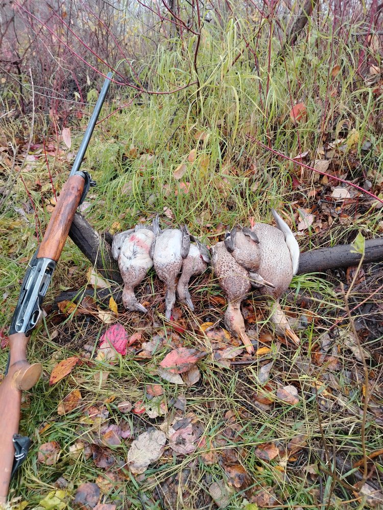 IMG_20261006_085316.jpg
