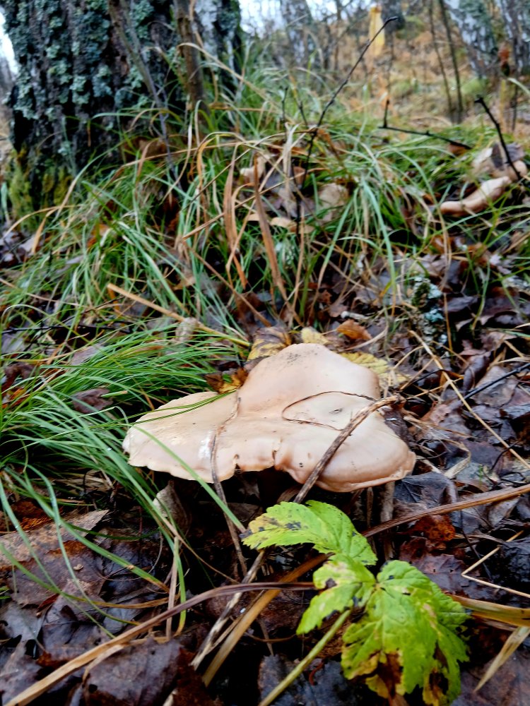 20261030_105844.jpg