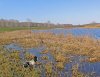 IMG_9395-2.jpg