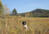 DSC02993_1.jpg