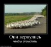 396648_oni-vernulis.thumbnail.jpg