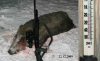 hunt1-27-sm[1].jpg