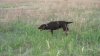 DSC05932.JPG