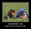 zsoeojqq.jpg