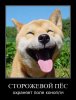 1266788716_demotivatory_21[1].jpg
