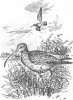 tmp1583-1.jpg