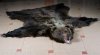 DSC_1457 3 small copy.jpg