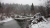 DSC01606.JPG