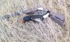 IMG_20180429_145717.jpg