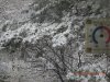 DSCN3050.JPG