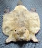 IMG-20180427-WA0016.jpg