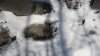 20180519_105417.jpg