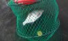 20180602_091813.jpg