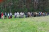 выставка собак 042.JPG