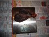 DSC03711.JPG
