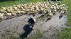 IMG-20180617-WA0000.jpg