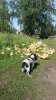 IMG-20180617-WA0002.jpg