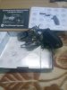 IMG_20180528_154636.jpg