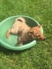 IMG-20180622-WA0008.jpg