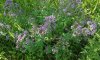 20180709_165833.jpg