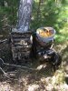 IMG_3500-29-07-18-05-53.JPG