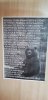 IMG-20180803-WA0013.jpg