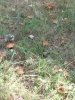 IMG_20180810_182215.jpg