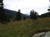 20170818_162156.jpg