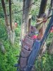 IMG_20180818_061951-01.jpeg