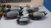 IMG-20180827-WA0004.jpg