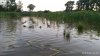IMG-20180829-WA0008.jpg