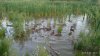 IMG-20180829-WA0011.jpg
