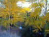 IMG-20180914-WA0003.jpg