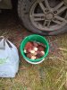 IMG_20180912_153546.jpg