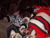 DSCN0522.JPG